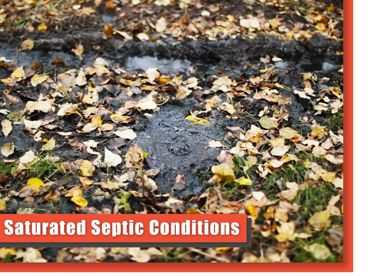 Septic saturated conditions